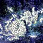 unnamed (3)