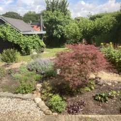 vergrasde tuin compleet opnieuw aangelegd